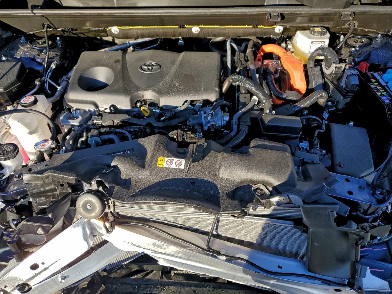 2025 TOYOTA RAV4 XLE photo 12