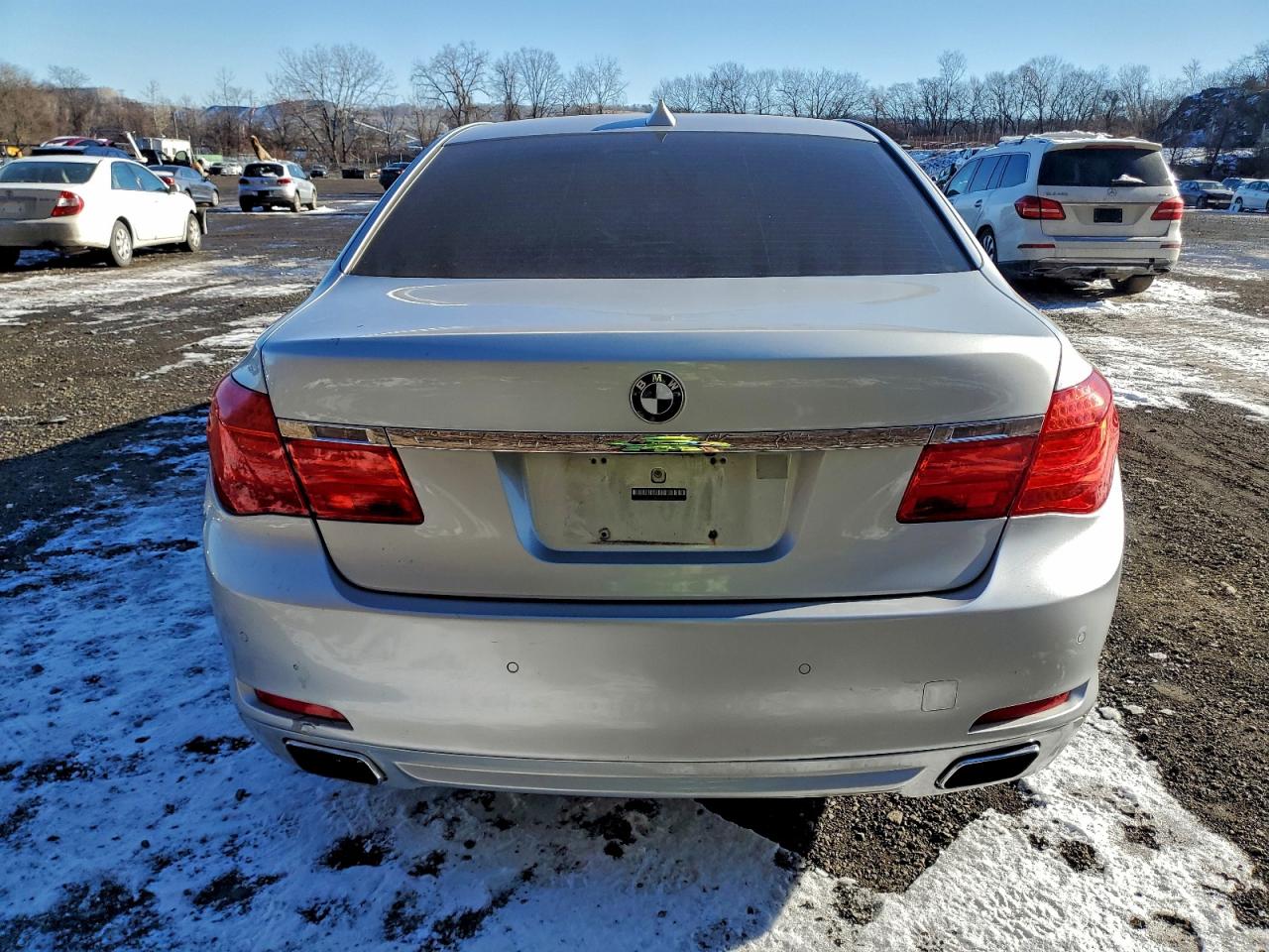 2011 BMW 750 LXI photo 6