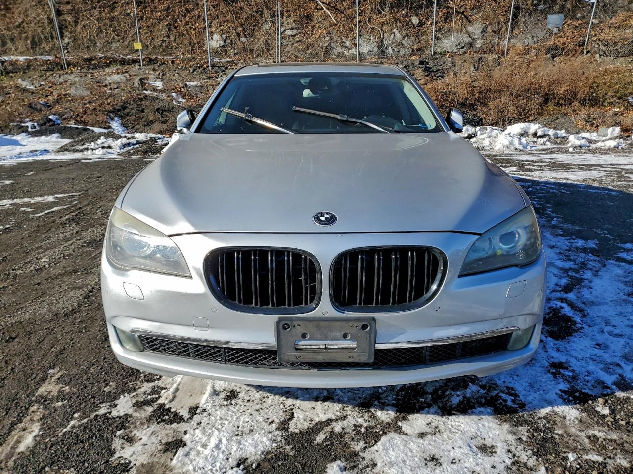 2011 BMW 750 LXI photo 5