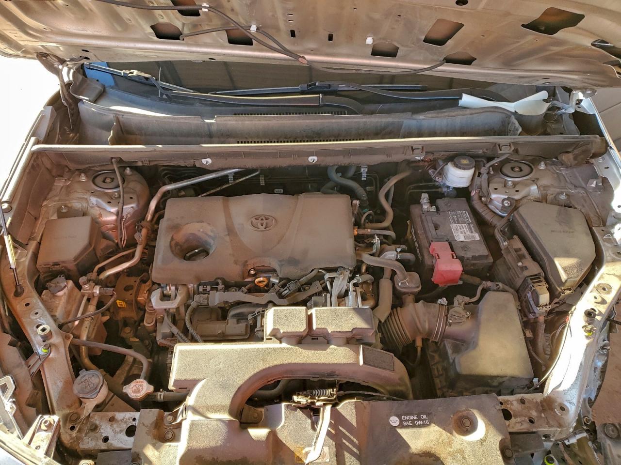 2019 TOYOTA RAV4 XLE photo 12