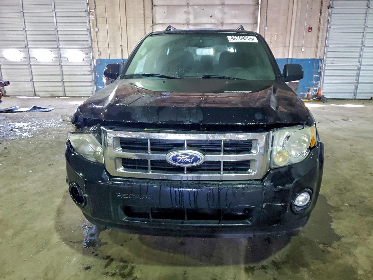 2010 FORD ESCAPE XLT photo 5