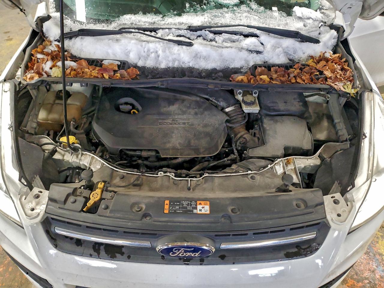 2014 FORD ESCAPE SE photo 12