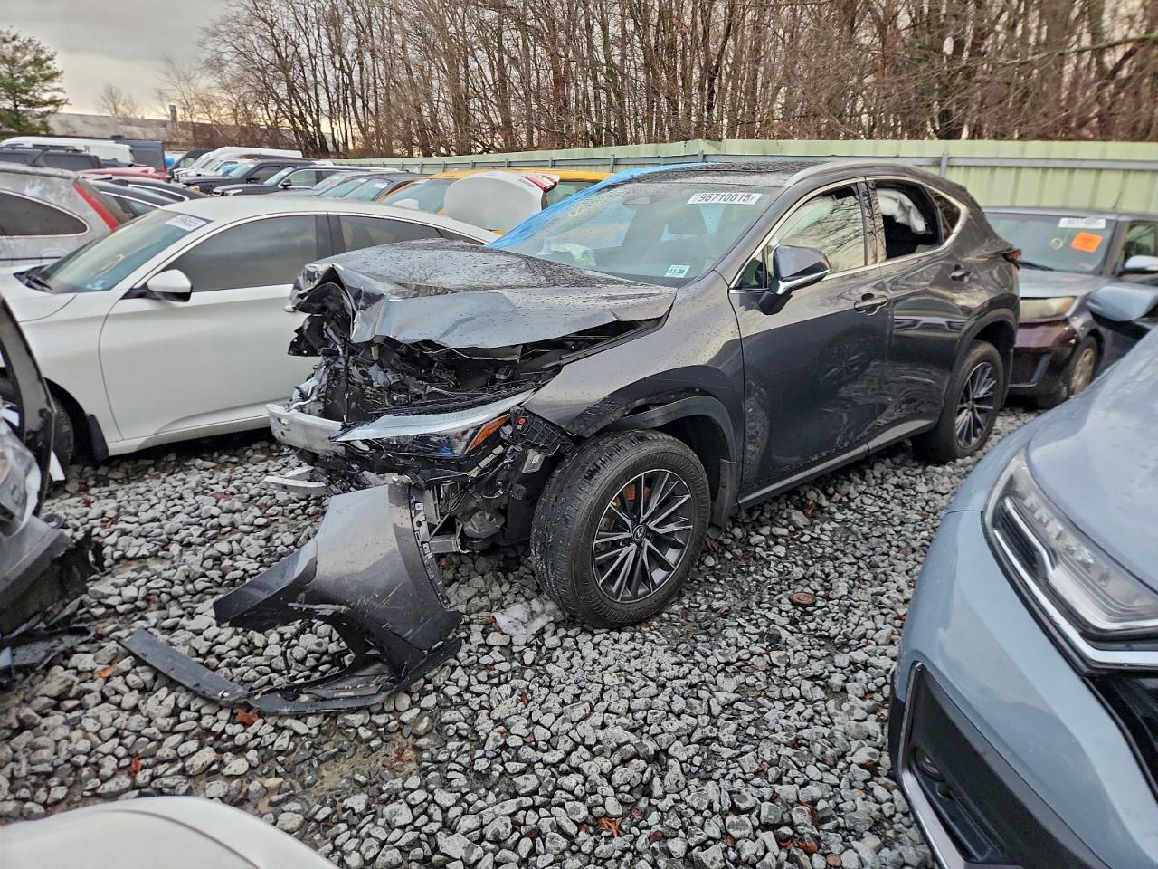 2024 LEXUS NX