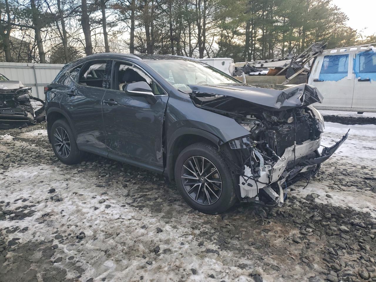 2024 LEXUS NX 350 BASE photo 4