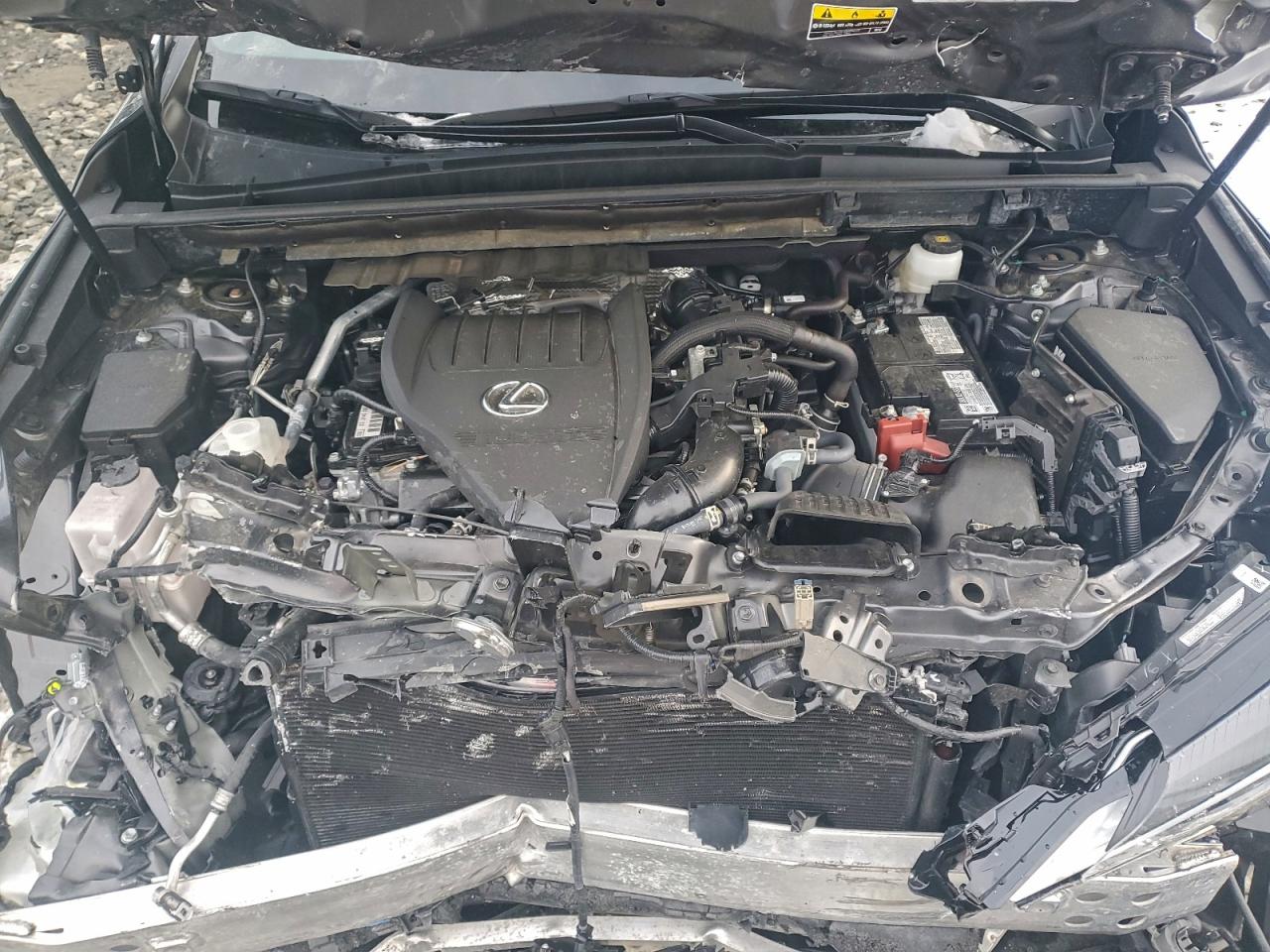 2024 LEXUS NX 350 BASE photo 12