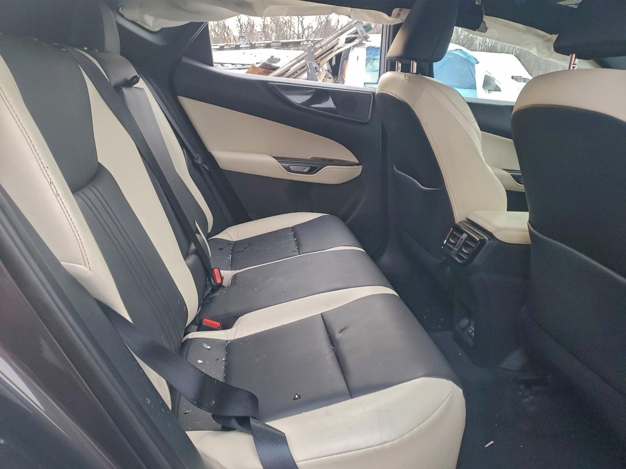 2024 LEXUS NX 350 BASE photo 11