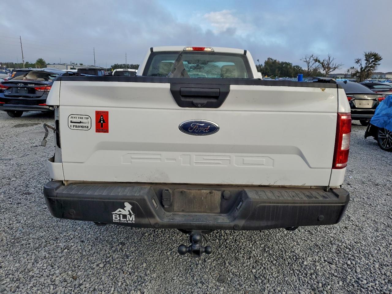 2018 FORD F150 photo 6