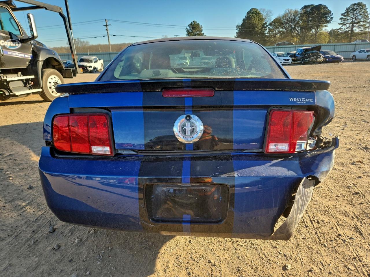 2008 FORD MUSTANG photo 6