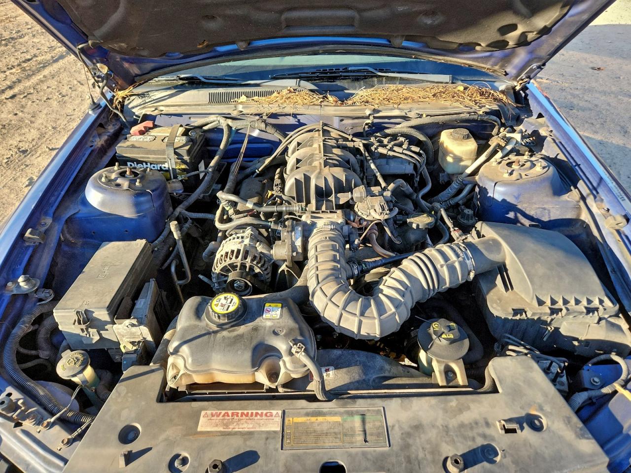 2008 FORD MUSTANG photo 11