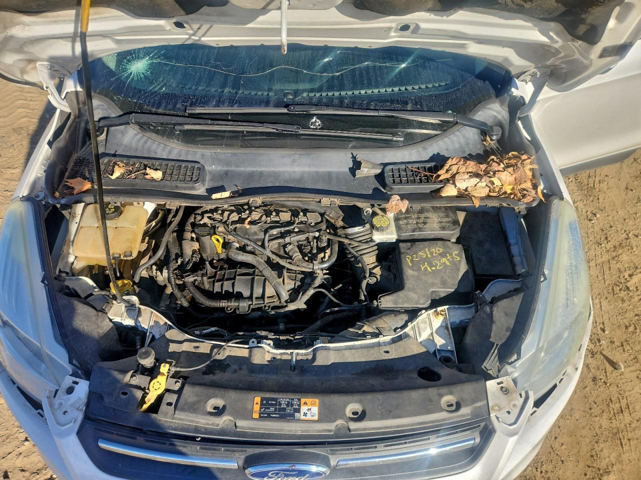 2014 FORD ESCAPE SE photo 12