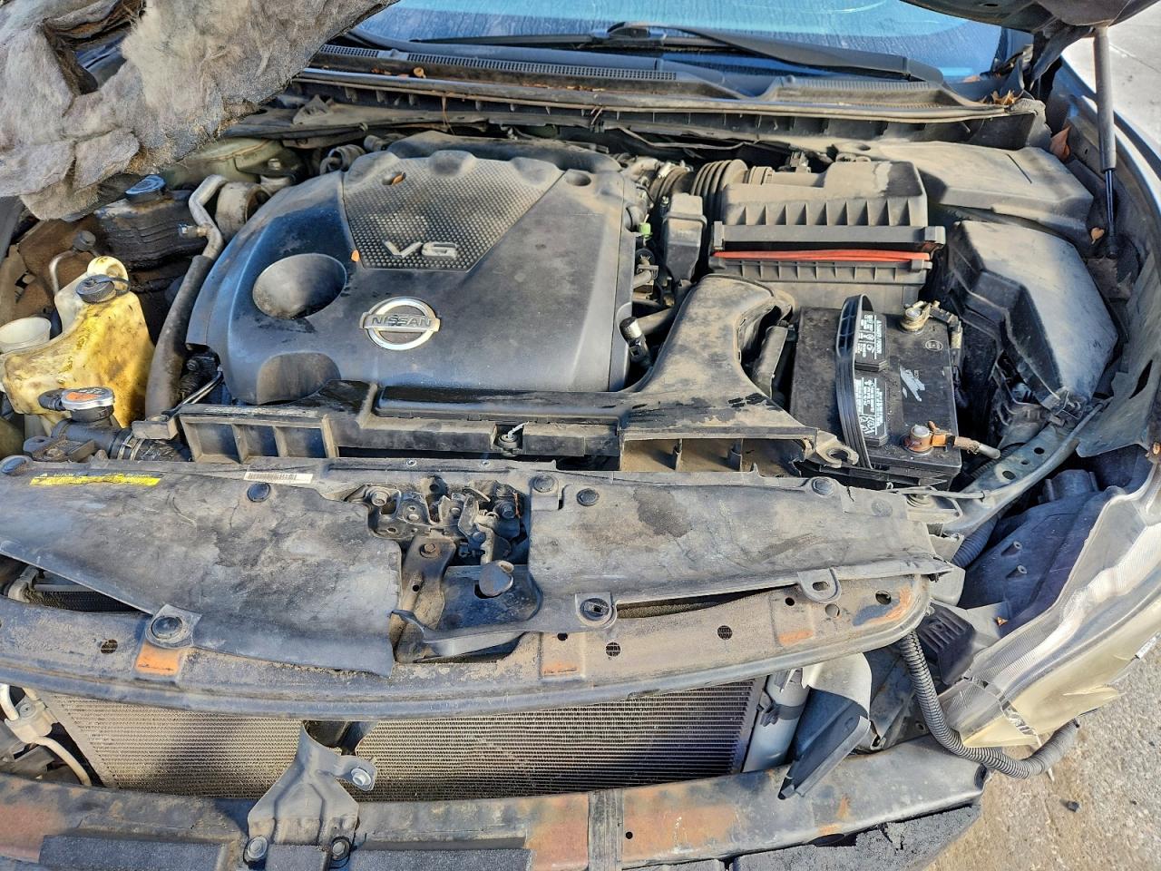 2010 NISSAN MAXIMA S photo 11