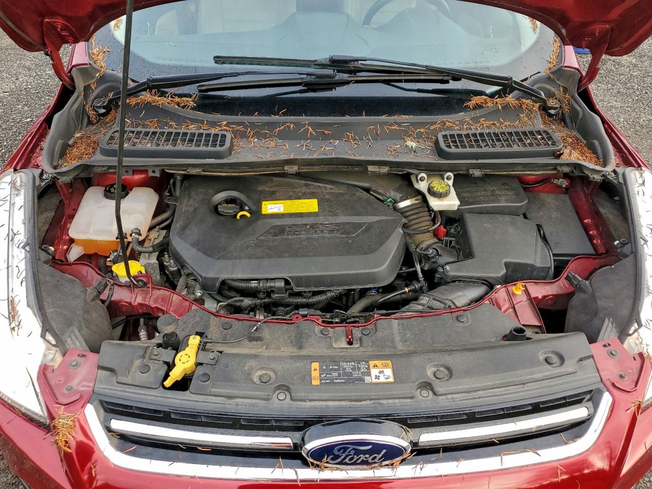 2014 FORD ESCAPE TITANIUM photo 12
