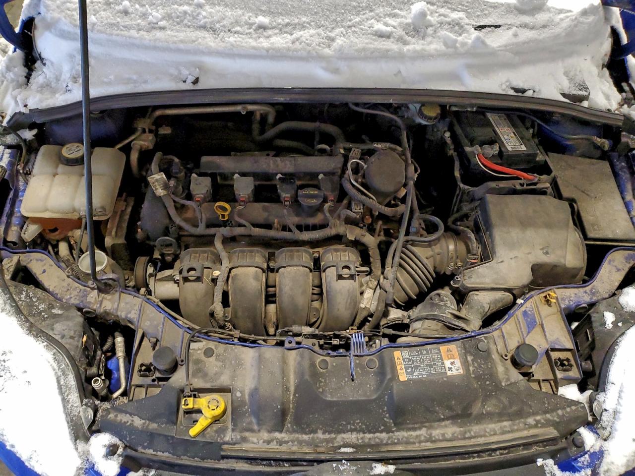 2014 FORD FOCUS SE photo 11