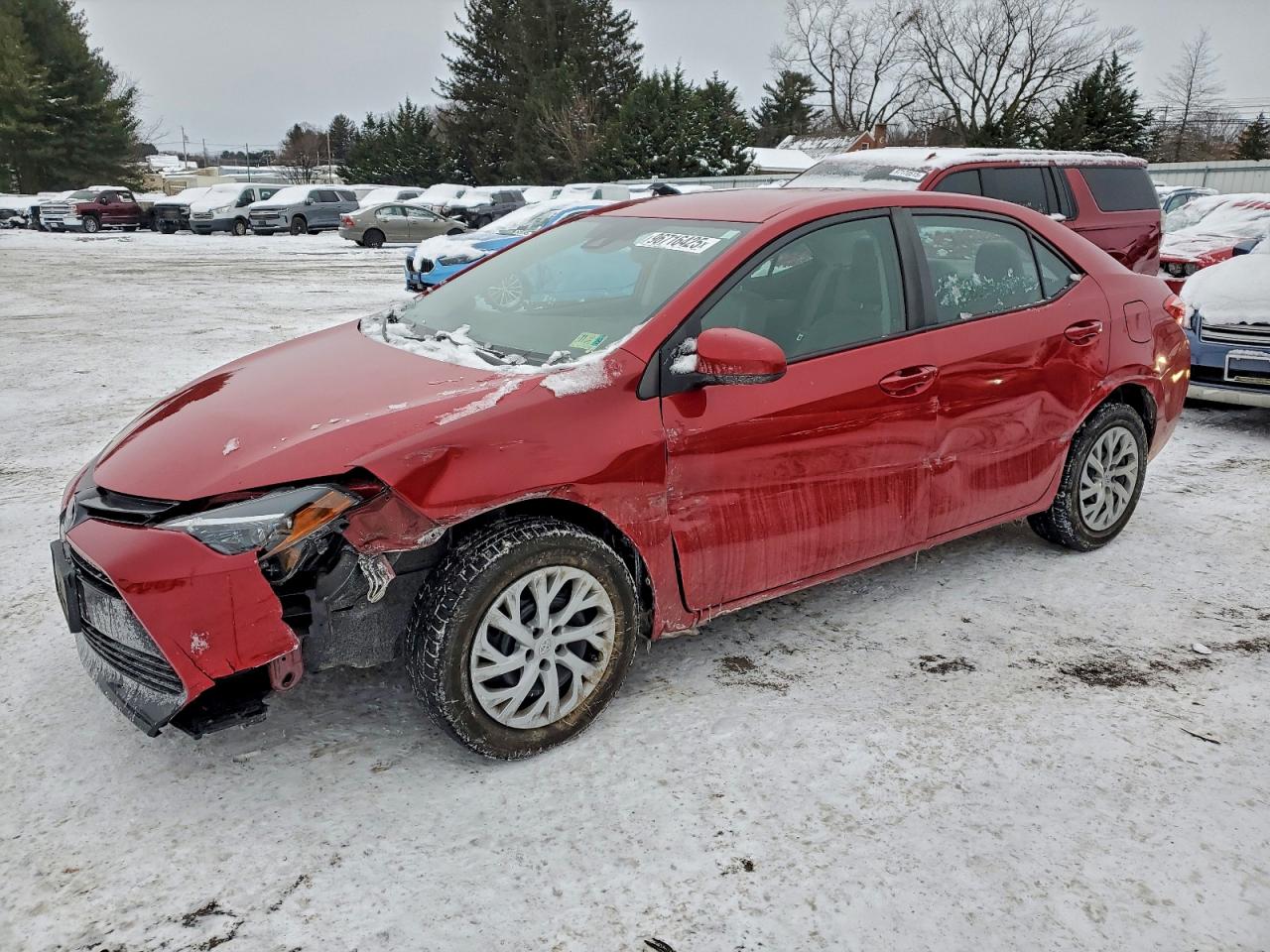 2019 TOYOTA COROLLA