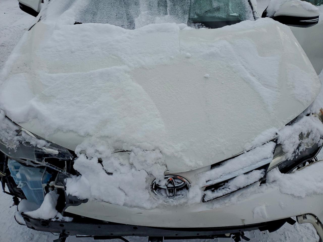 2015 TOYOTA RAV4 LIMITED photo 12