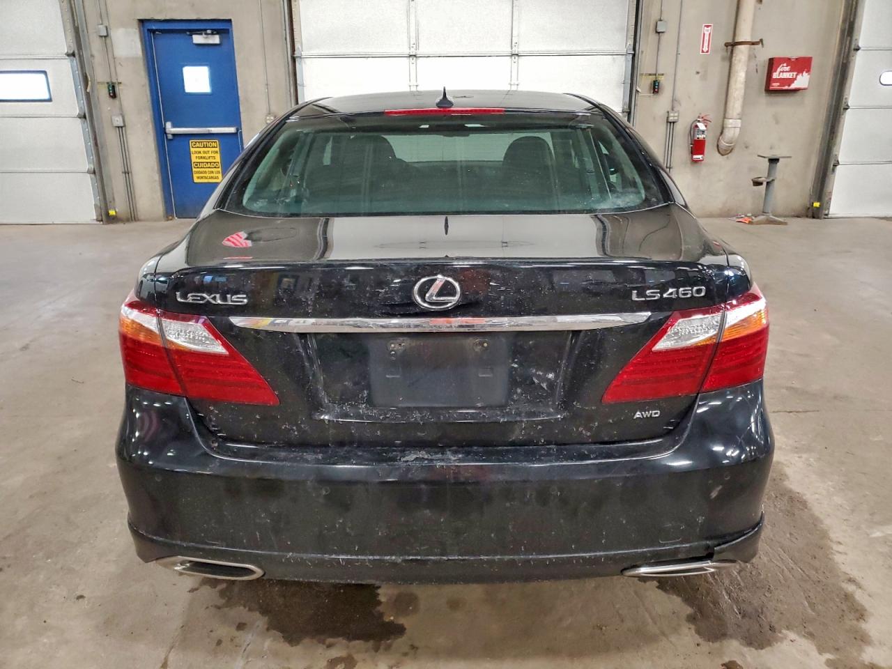 2010 LEXUS LS 460 photo 6