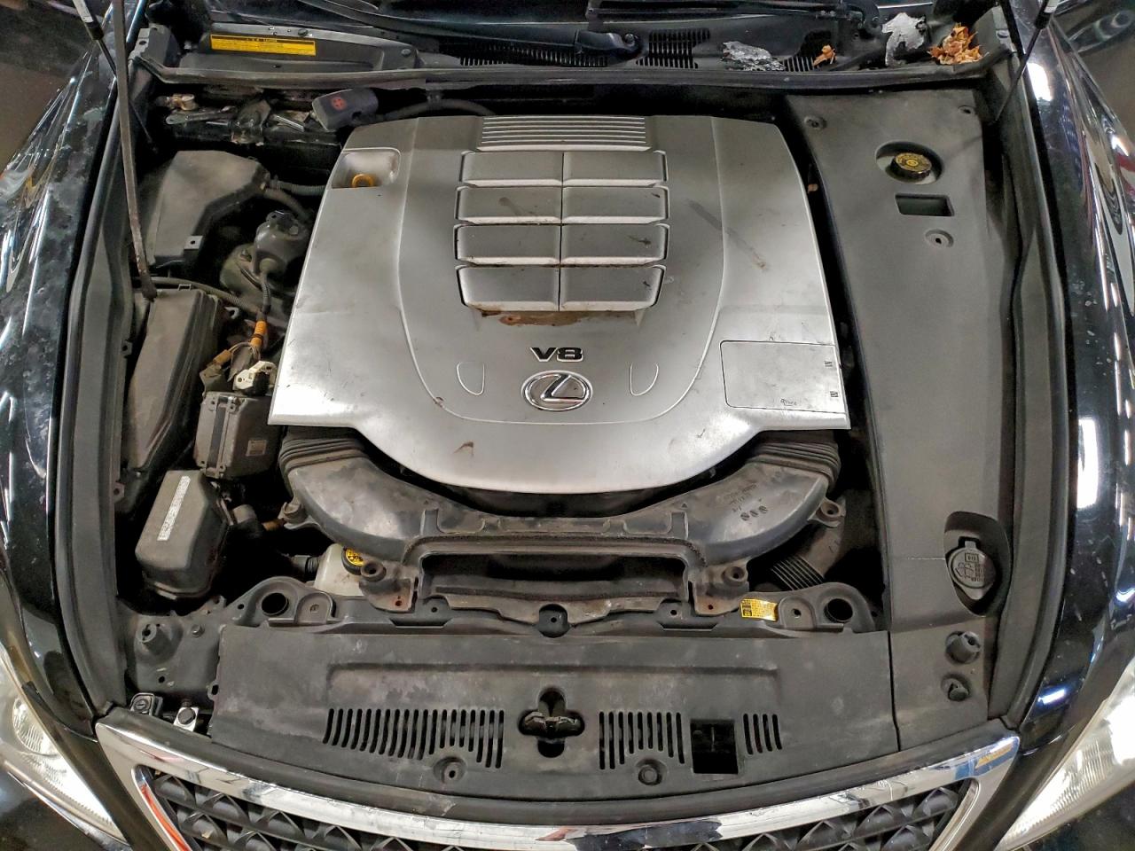 2010 LEXUS LS 460 photo 11