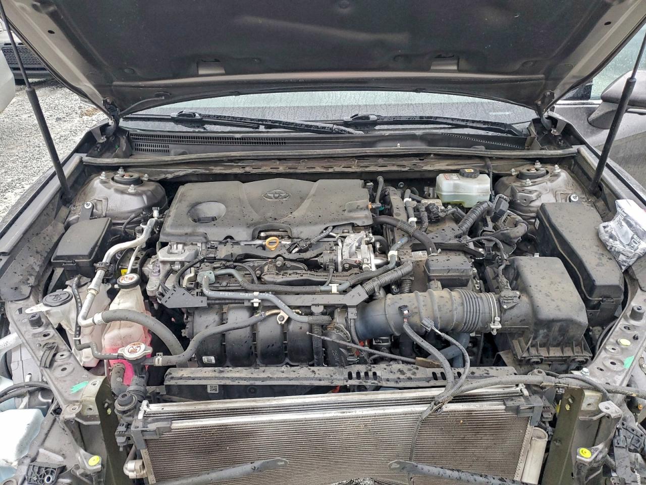 2020 TOYOTA CAMRY XLE photo 11
