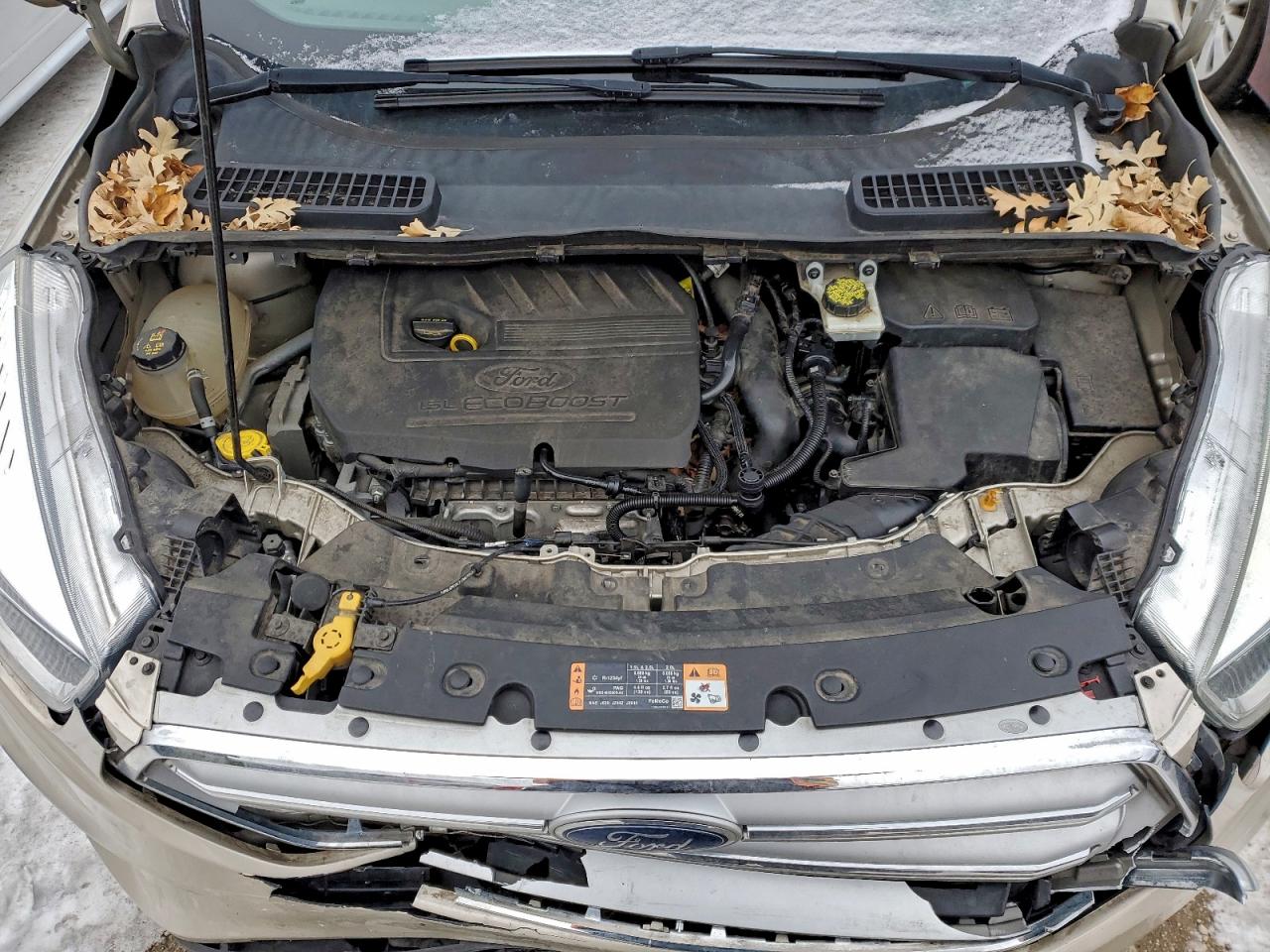 2017 FORD ESCAPE SE photo 12