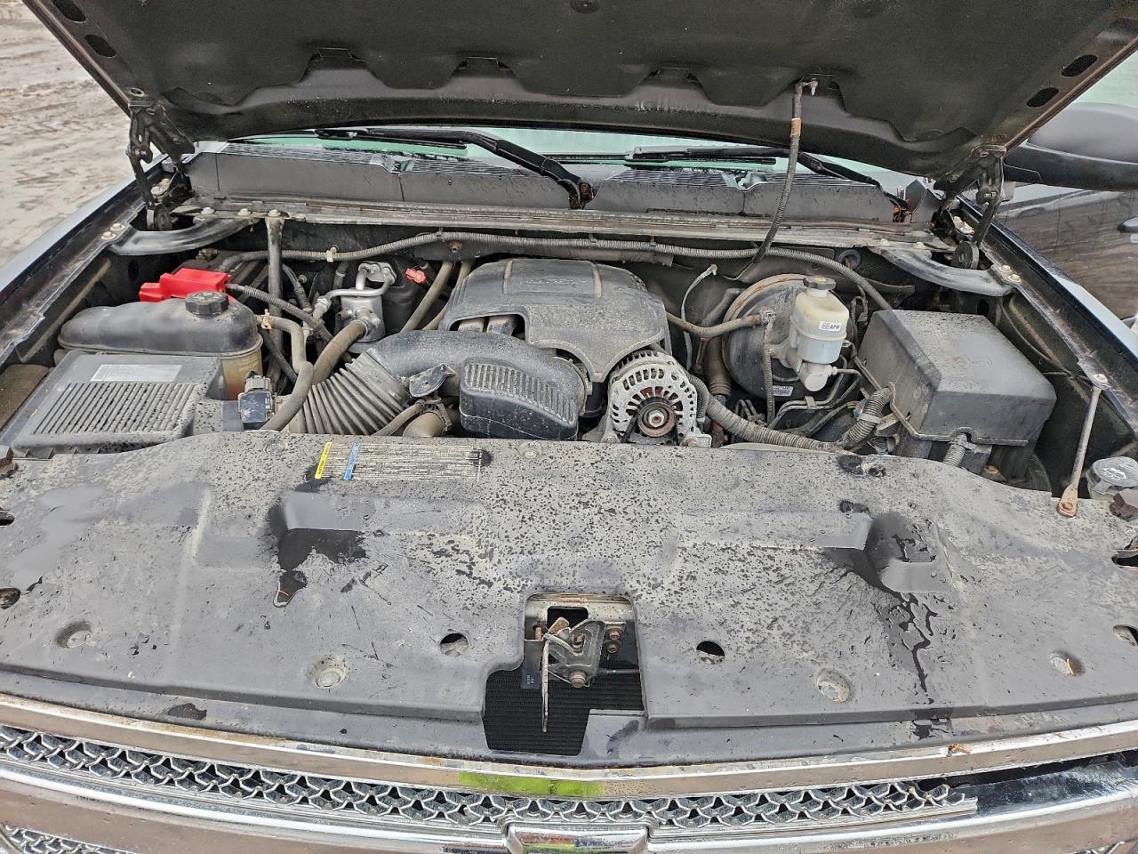 2010 CHEVROLET SILVERADO K1500 LS photo 11