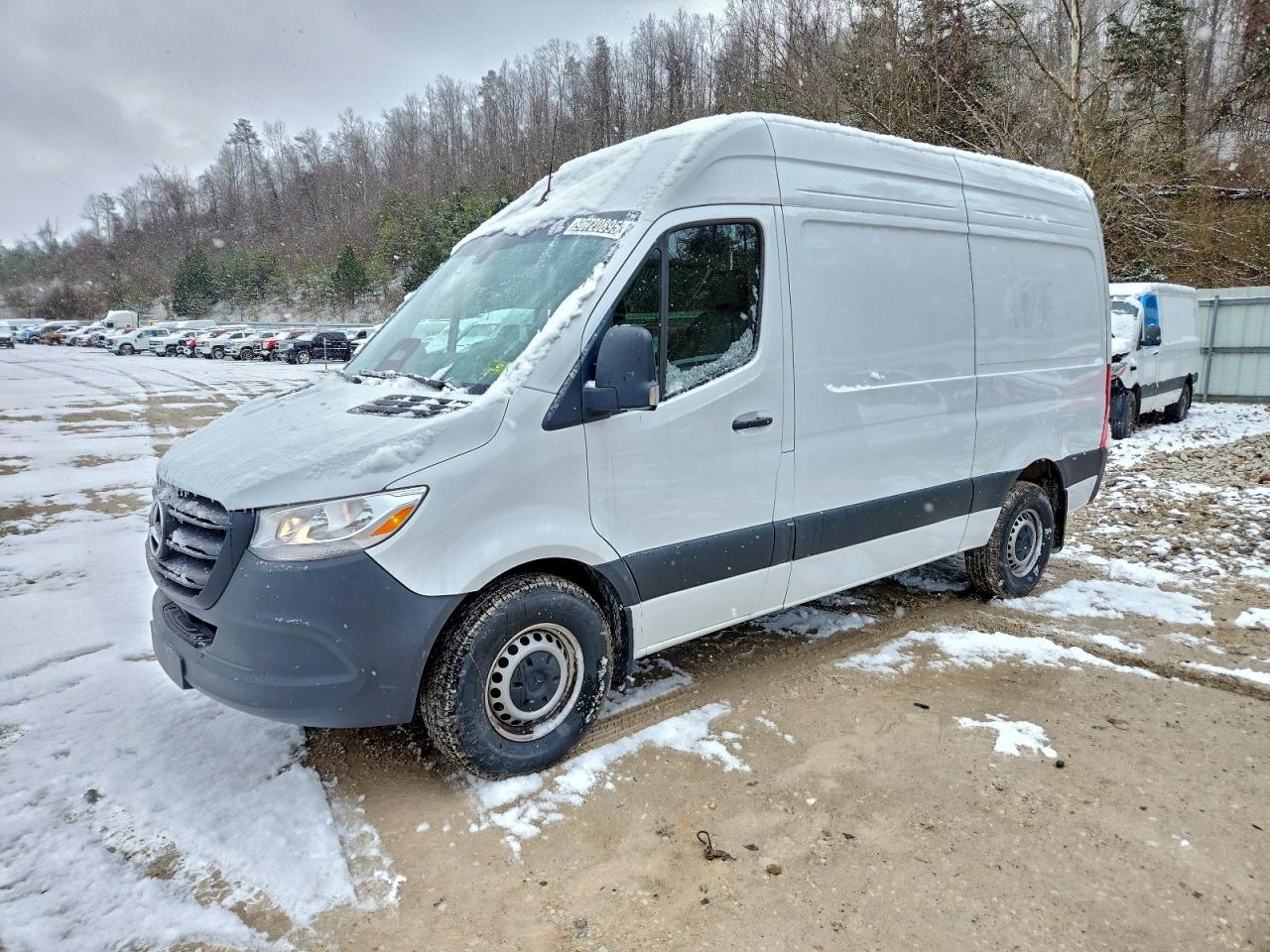 2025 MERCEDES-BENZ SPRINTER