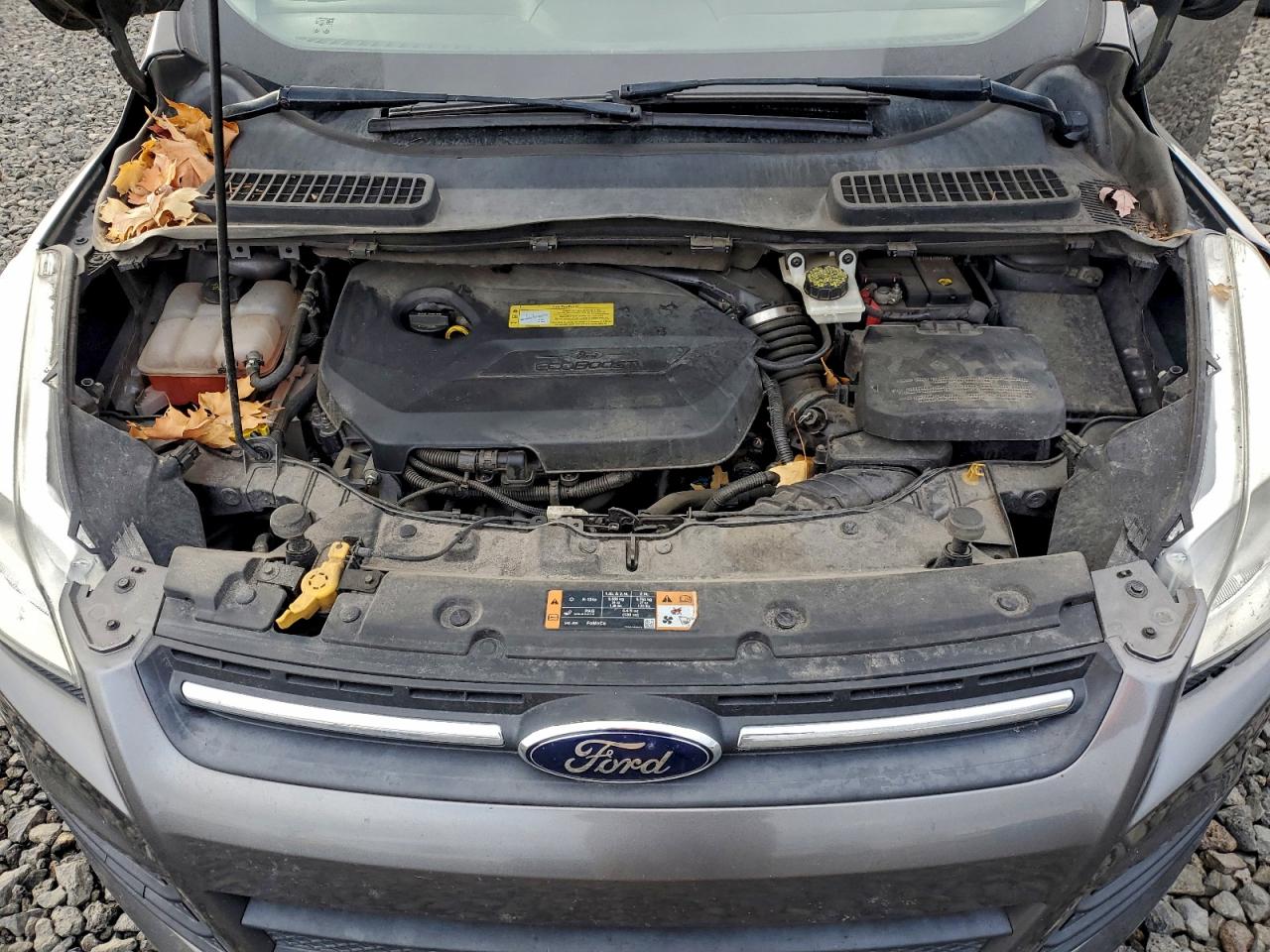 2014 FORD ESCAPE SE photo 12