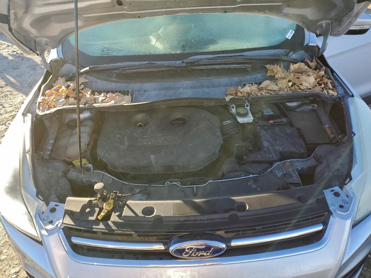 2013 FORD ESCAPE SEL photo 12