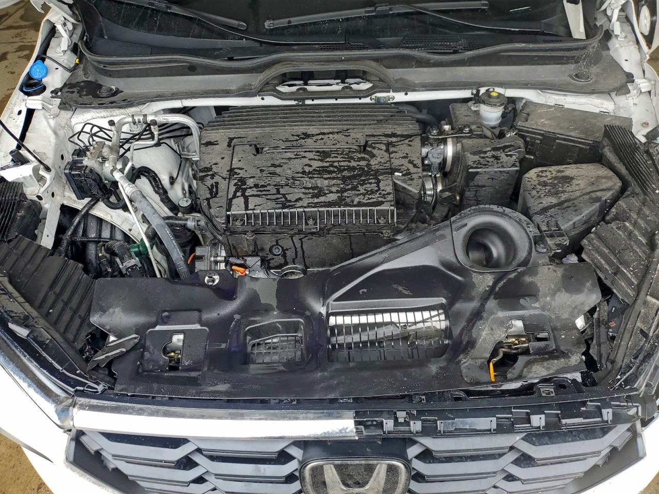 2025 HONDA PILOT EXL photo 12