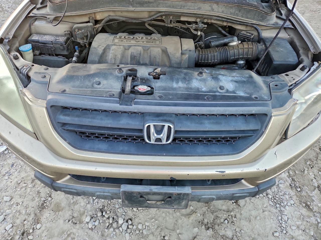 2005 HONDA PILOT EXL photo 12