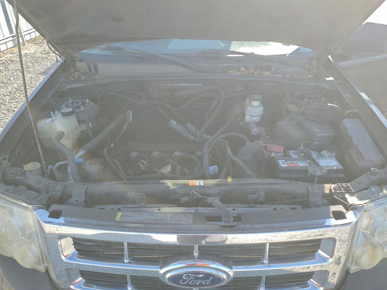 2010 FORD ESCAPE XLT photo 12