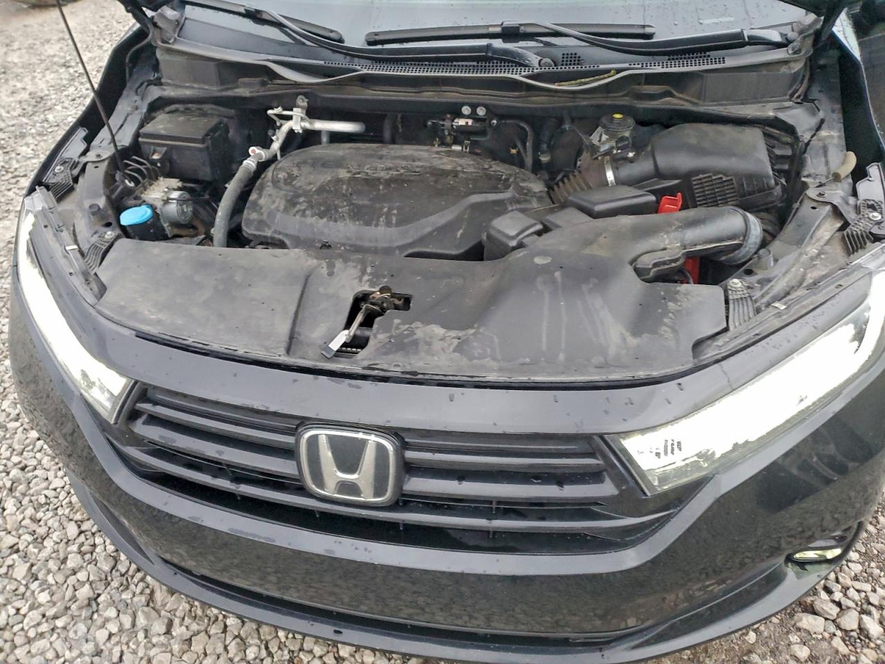2023 HONDA ODYSSEY SPORT-L photo 12