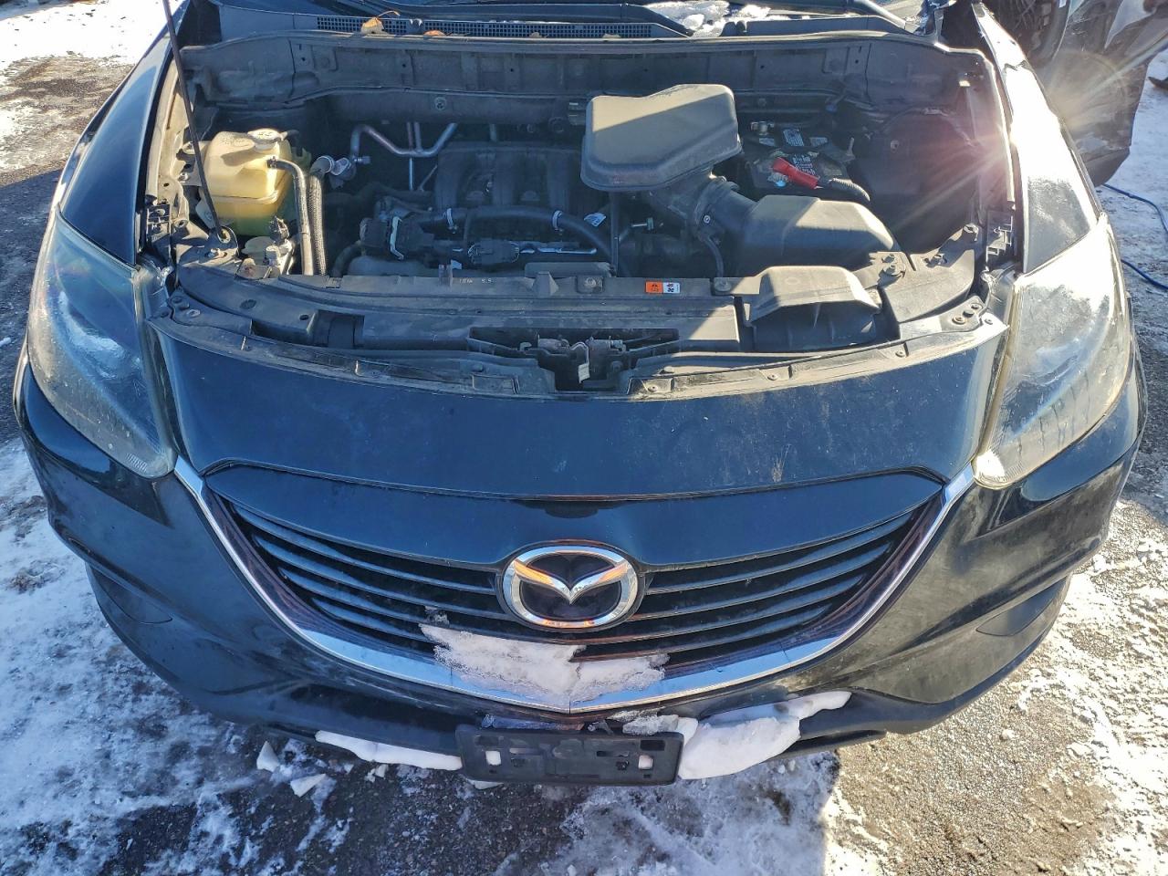 2013 MAZDA CX-9 SPORT photo 12