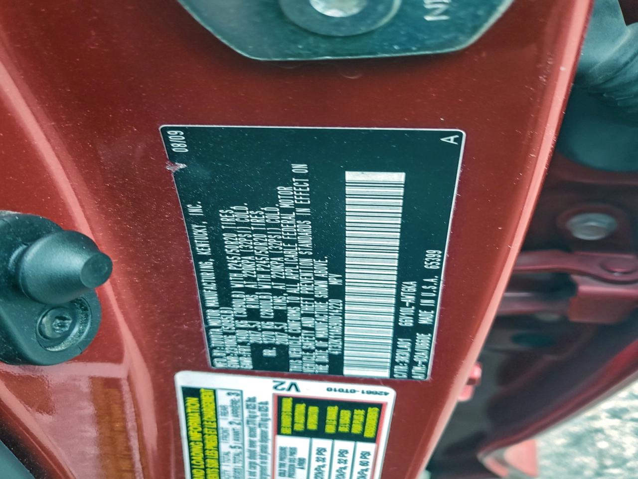 2009 TOYOTA VENZA photo 13