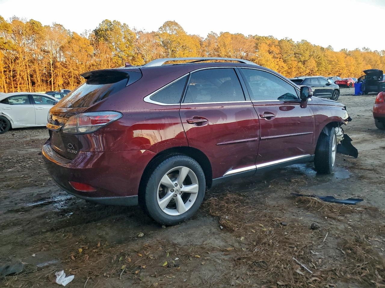 2013 LEXUS RX 350 BASE photo 3