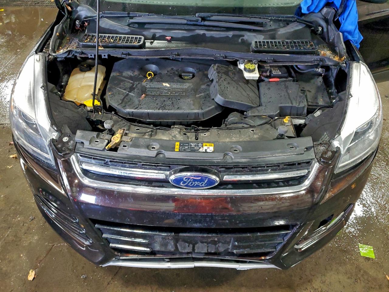 2013 FORD ESCAPE TITANIUM photo 12