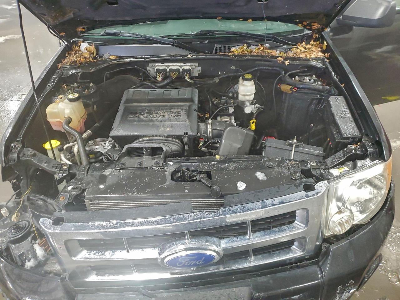 2011 FORD ESCAPE XLT photo 12