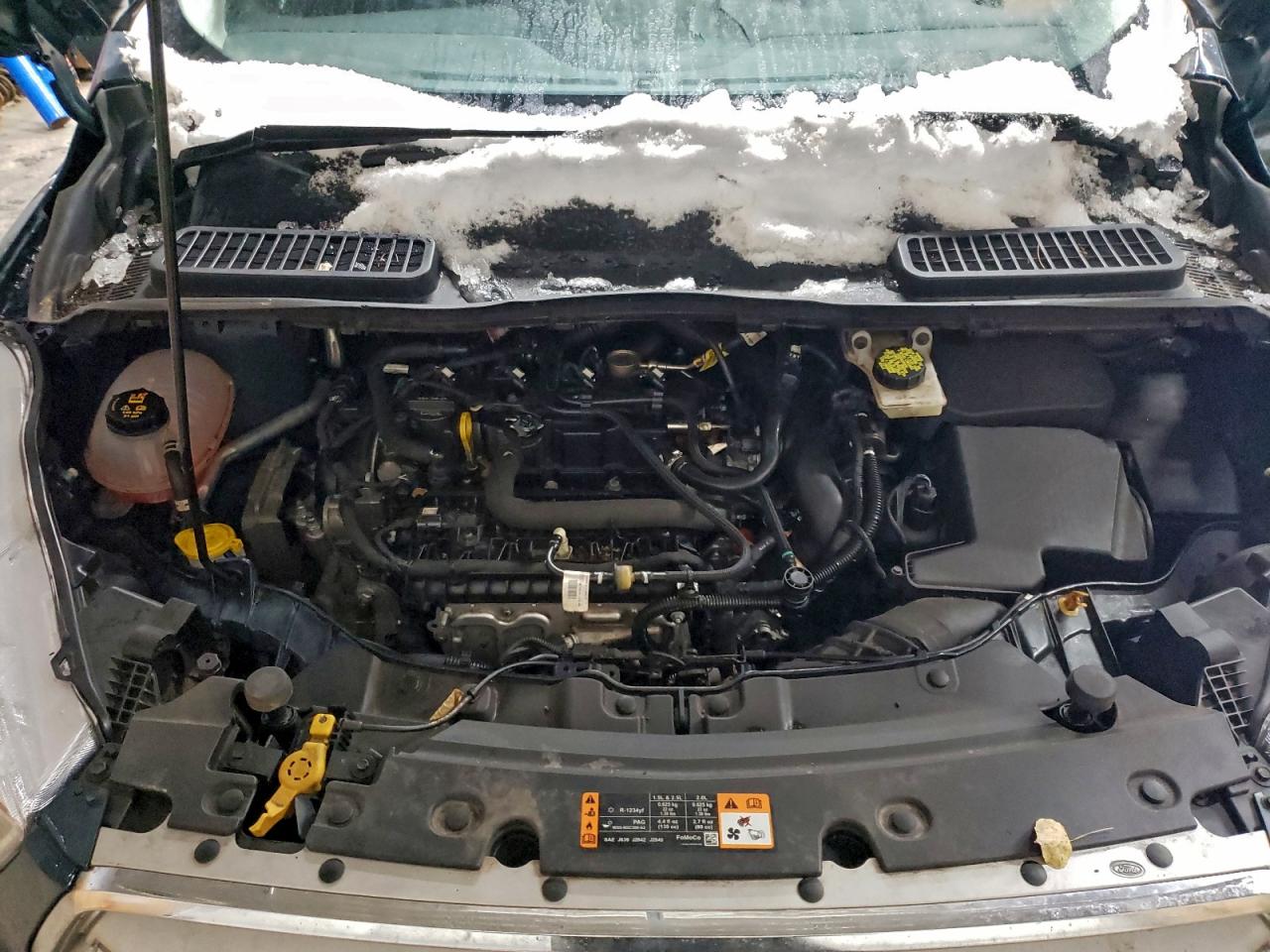 2019 FORD ESCAPE SE photo 12