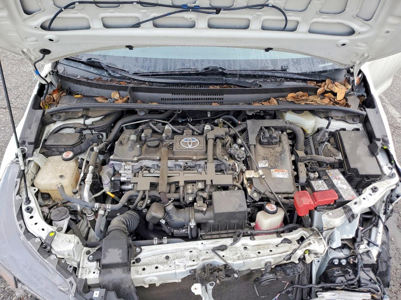2020 TOYOTA COROLLA LE photo 11