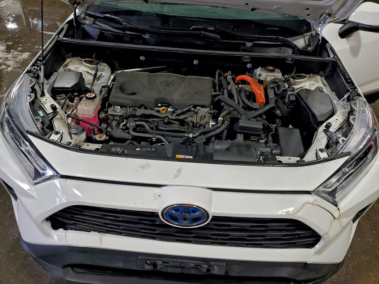 2021 TOYOTA RAV4 XLE photo 12