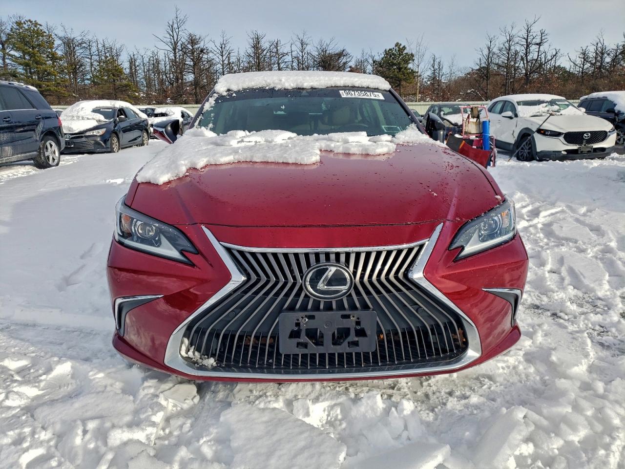 2019 LEXUS ES 350 photo 5