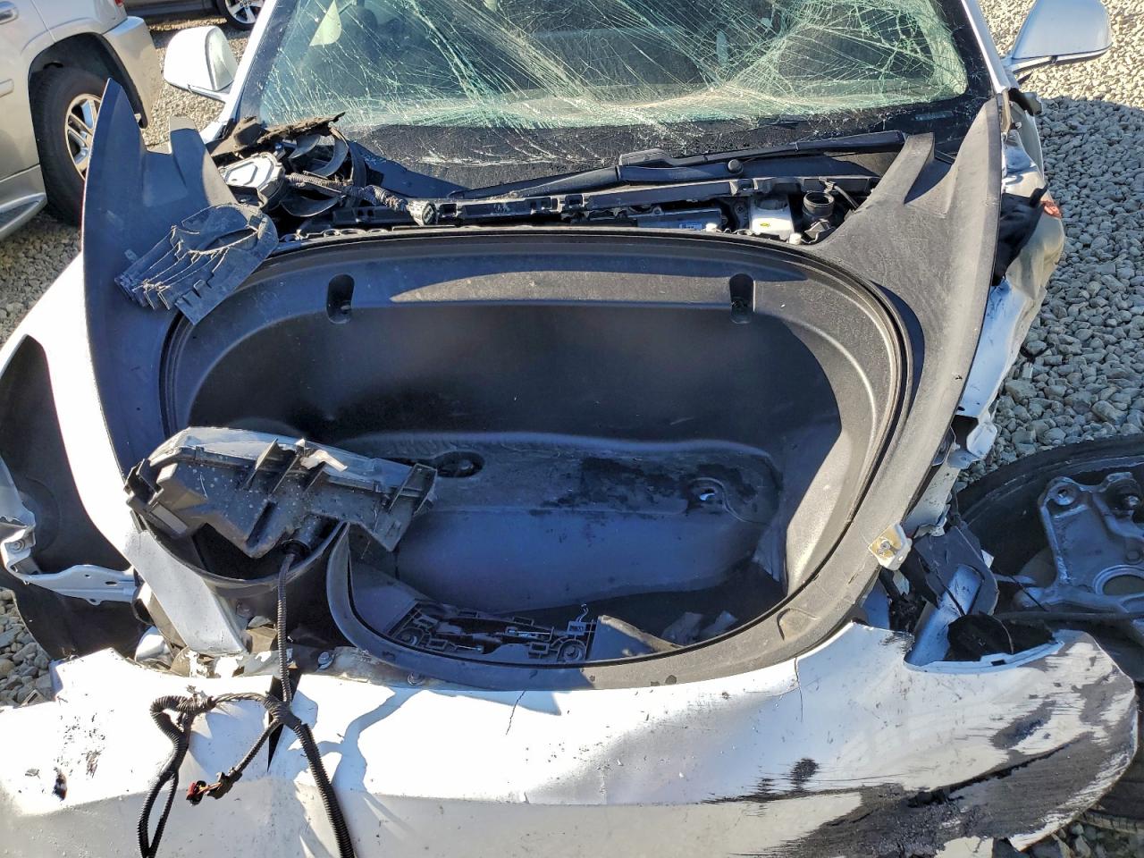 2020 TESLA MODEL 3 photo 11