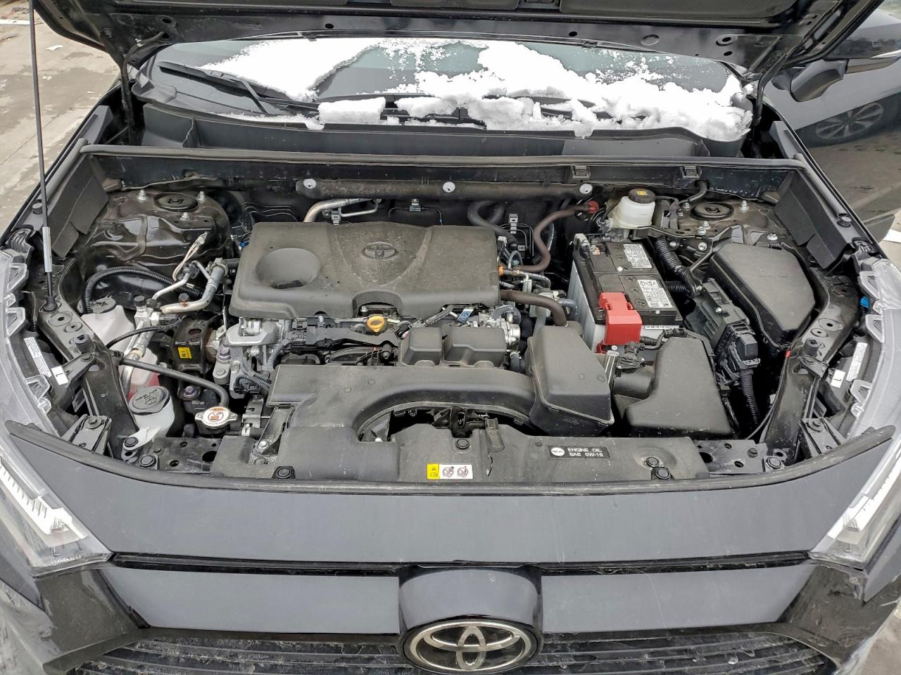 2025 TOYOTA RAV4 XLE photo 12