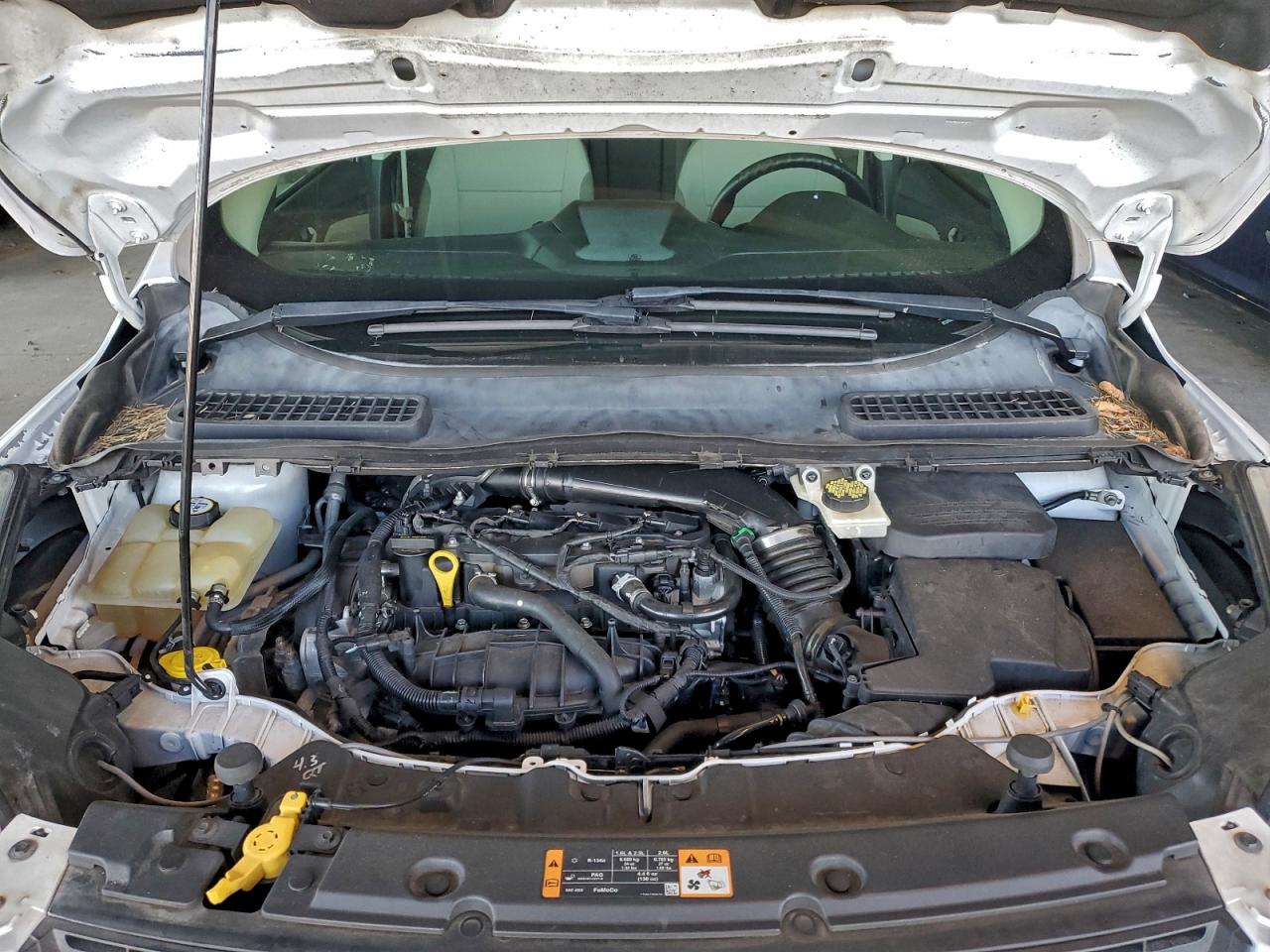2014 FORD ESCAPE SE photo 12