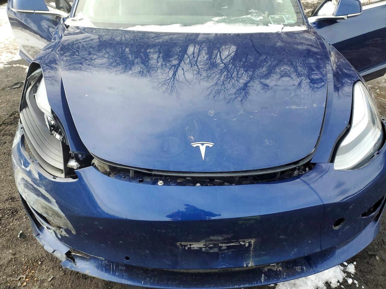 2019 TESLA MODEL 3 photo 11