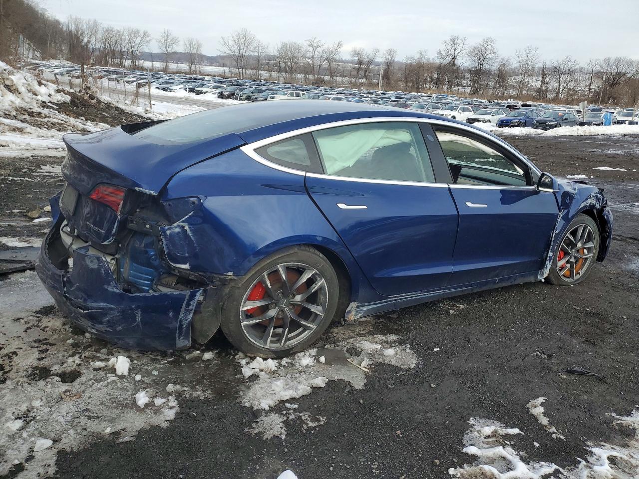 2019 TESLA MODEL 3 photo 3