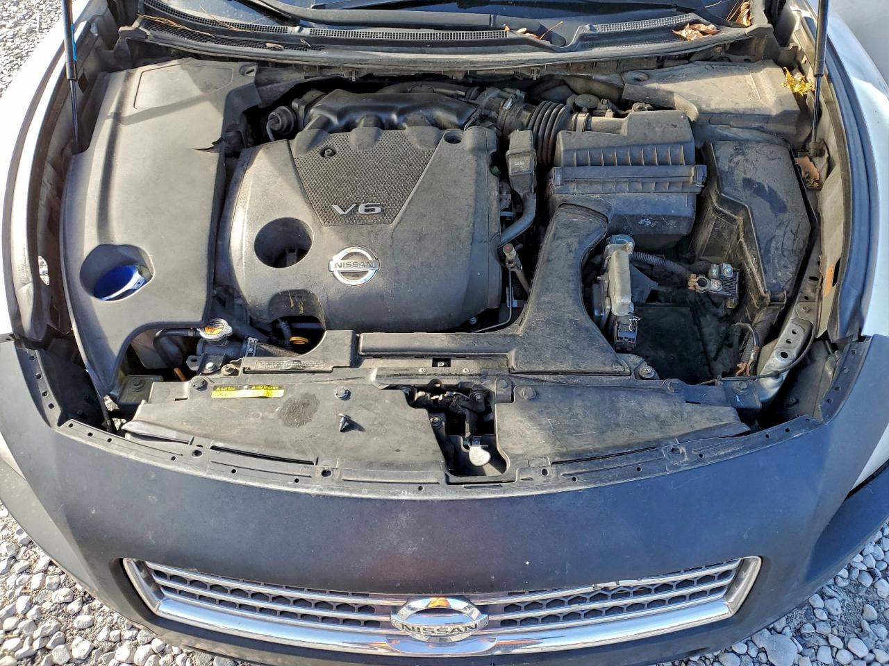2009 NISSAN MAXIMA S photo 11