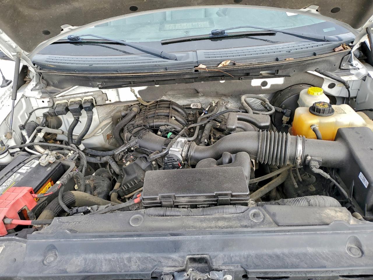 2014 FORD F150 photo 11