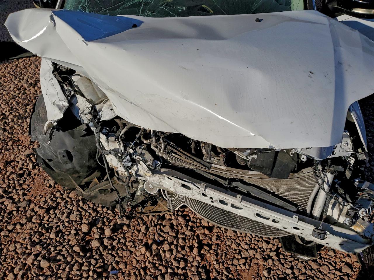 2014 FORD FOCUS SE photo 21