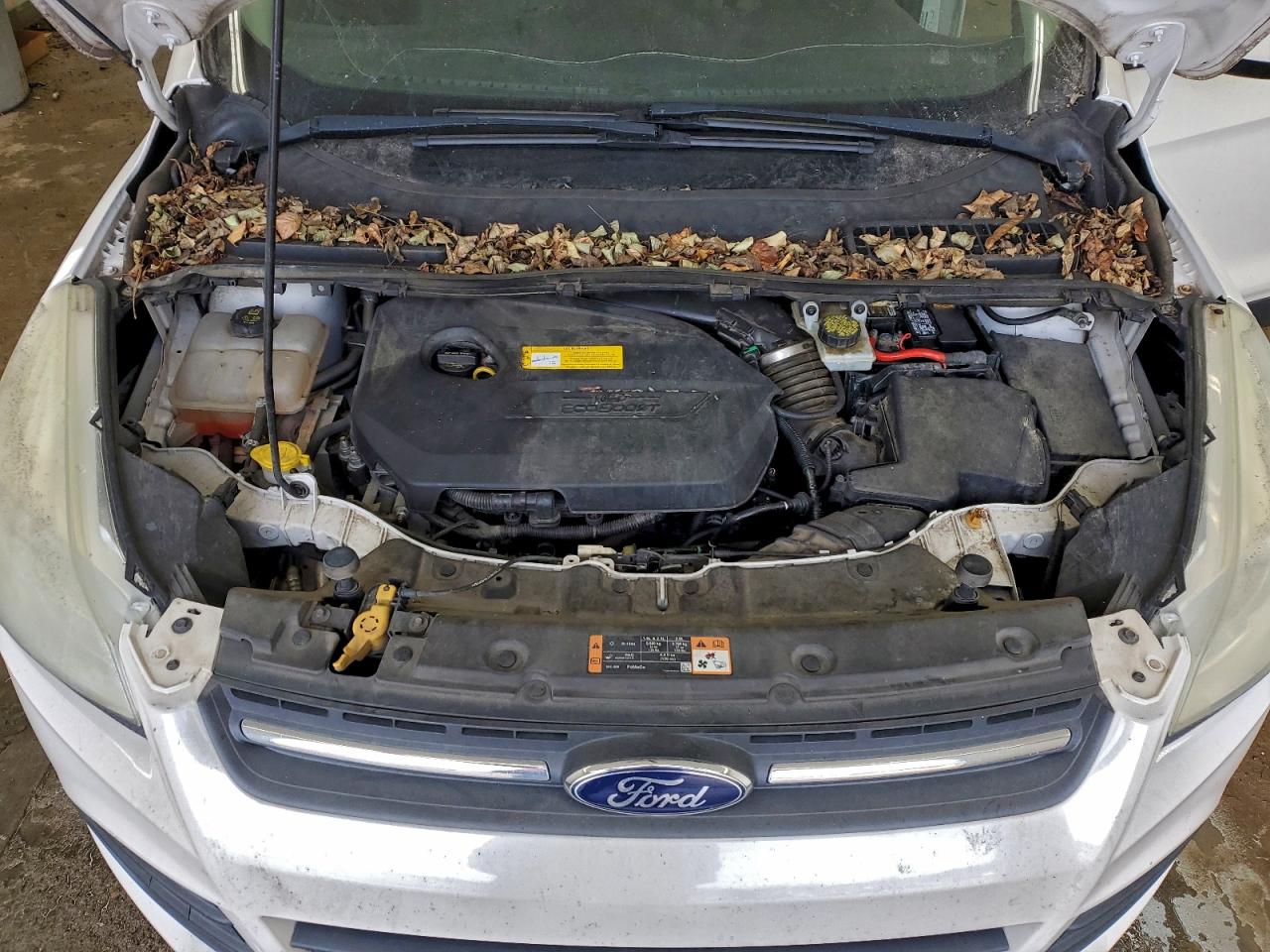 2016 FORD ESCAPE SE photo 12