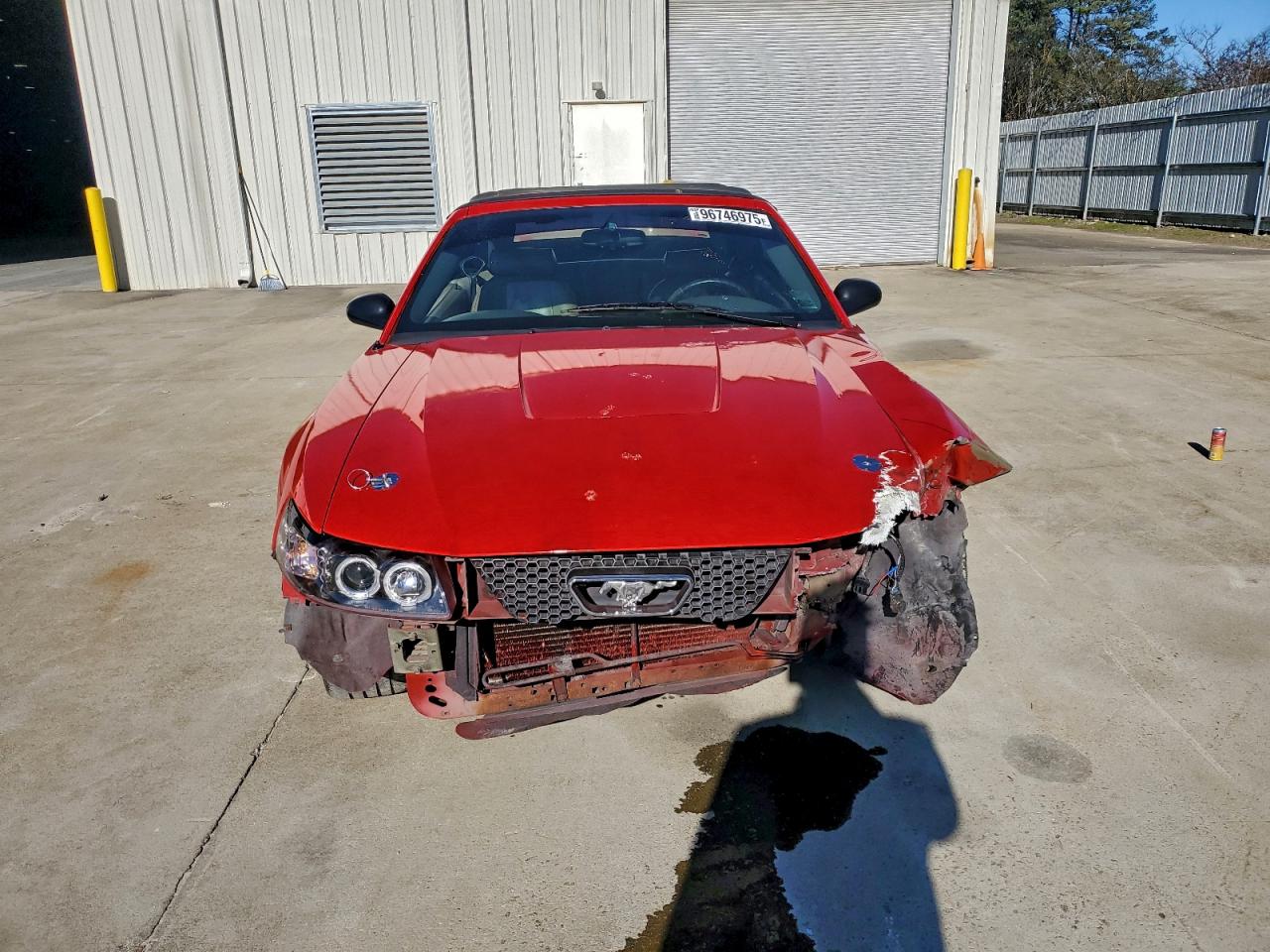2003 FORD MUSTANG photo 5